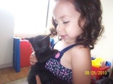 [another picture of Nugget, a Domestic Short Hair black\ cat] 