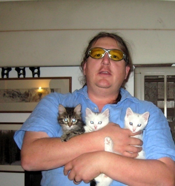 [picture of Janet, a Domestic Medium Hair brown classic tabby cat]